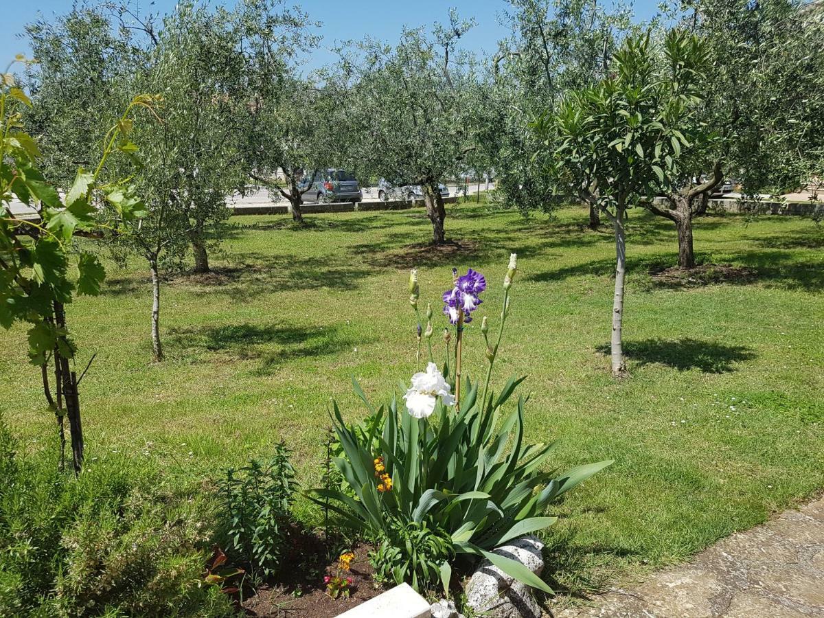 Rooms Siesta Poreč Zewnętrze zdjęcie