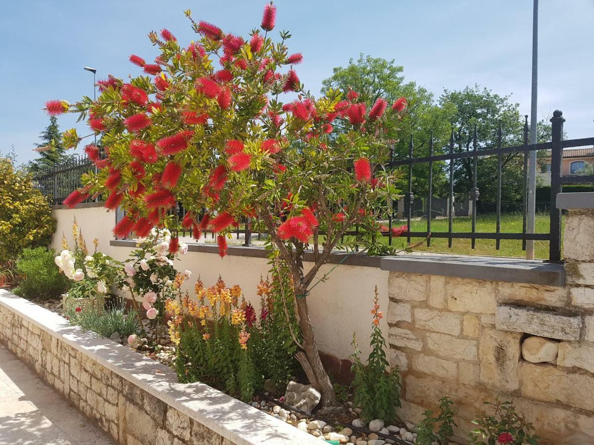 Rooms Siesta Poreč Zewnętrze zdjęcie