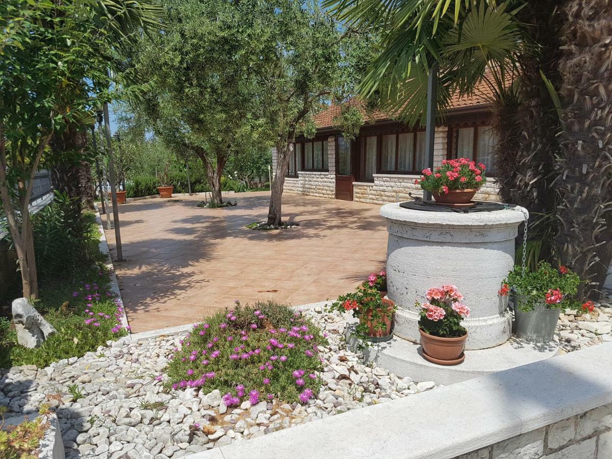 Rooms Siesta Poreč Zewnętrze zdjęcie
